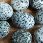 Koral Sikat Hitam Telur Puyuh